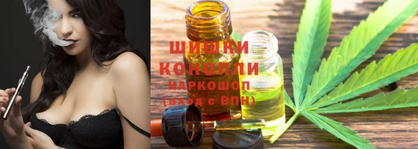 дурь Михайловск
