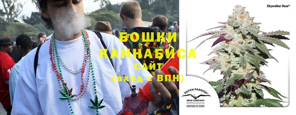 дурь Михайловск
