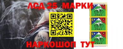 apvp Кунгур