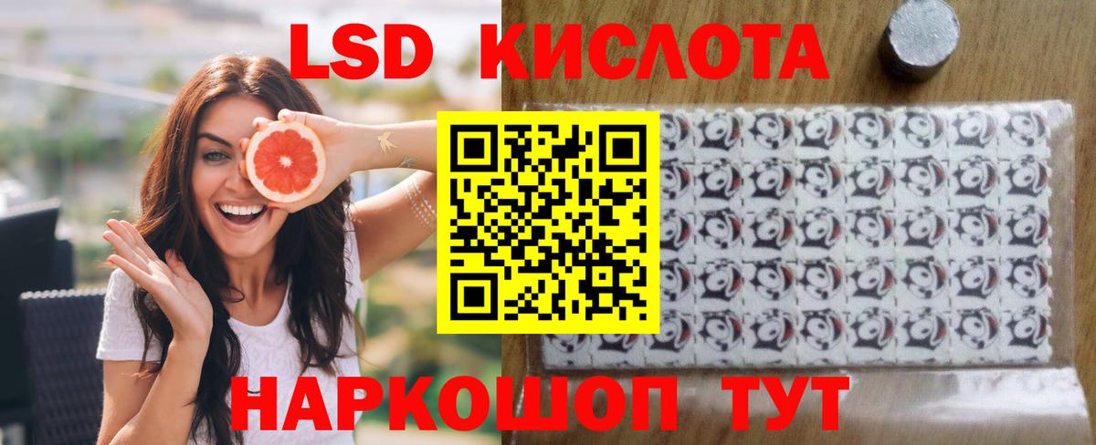 Новозыбков  Лсд 25 экстази ecstasy  кракен как войти  Вход с VPN 