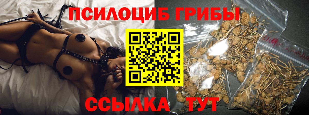 Новозыбков  Галлюциногенные грибы мицелий  Галлюциногенные грибы мицелий  Вход с VPN 