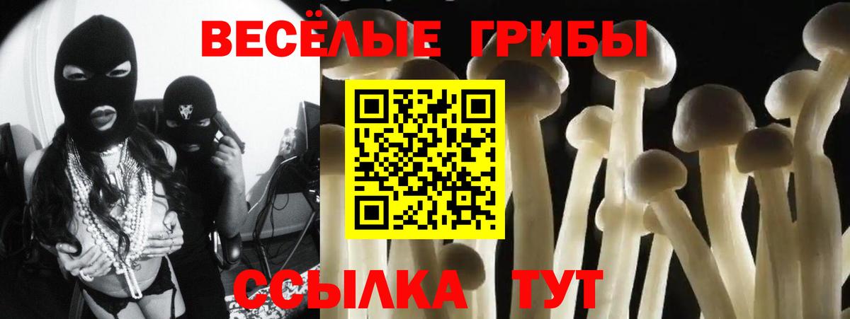 Галлюциногенные грибы Magic Shrooms Новозыбков